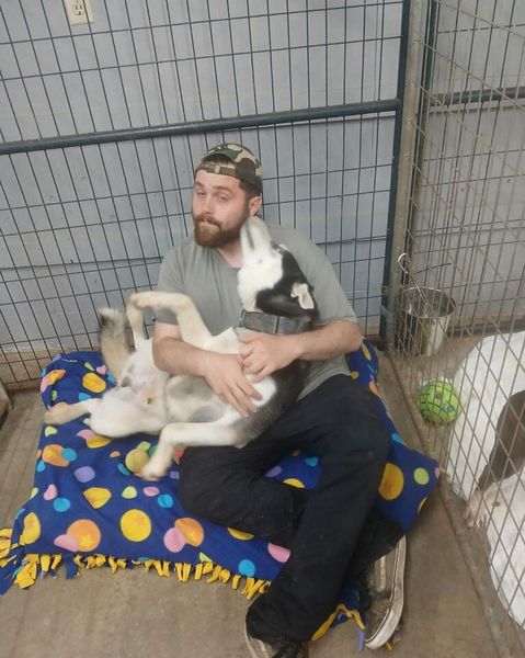 Zach West - Xbiz Miami 5-10/5-14 tweet media