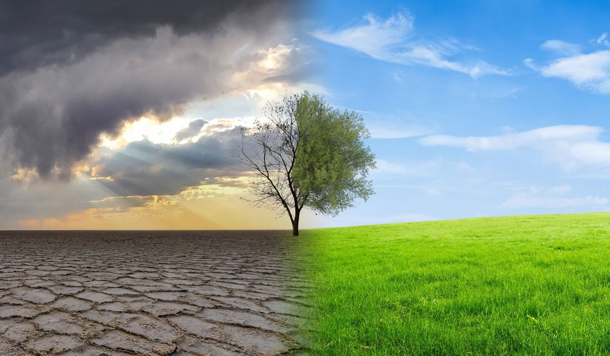 Learning about weather and climate in #socialstudies helps students understand the interactions between natural systems and human activities. Click below to learn more. #climatechange buff.ly/4dxmItu