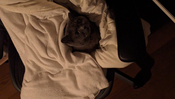 ぬくぬくしとる 