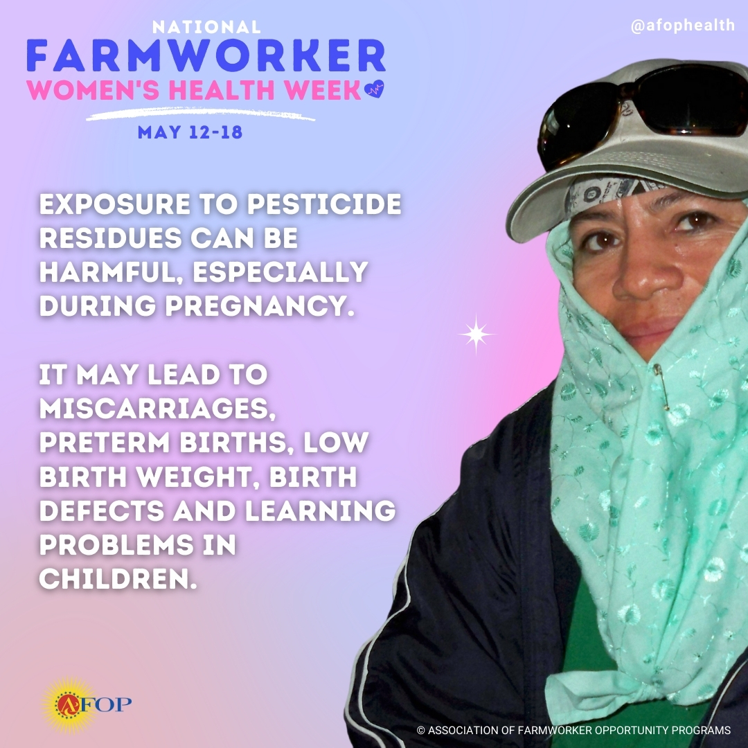 It’s National Farmworker Women’s Health Week! #NFWHW2024 💚 We’re joining @AFOPNational to create a lasting conversation about farmworker women’s health issues, including pesticide exposure during pregnancy.