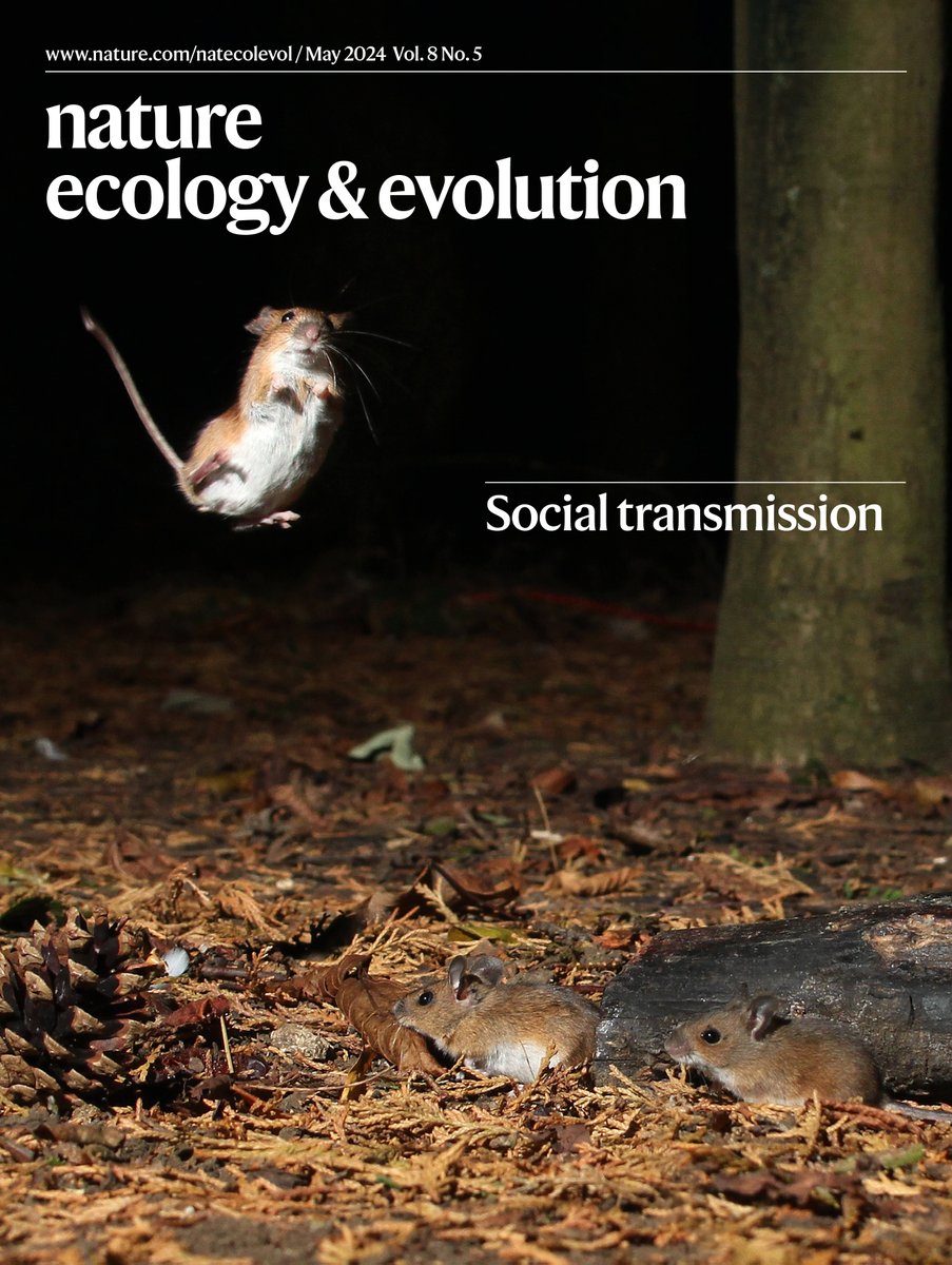 Our May issue is now live, including mammalian responses to human activity, the evolution of multicellularity, mosquito viromes, deep-time protein preservation, and an Editorial about pangenomes. nature.com/natecolevol/vo…