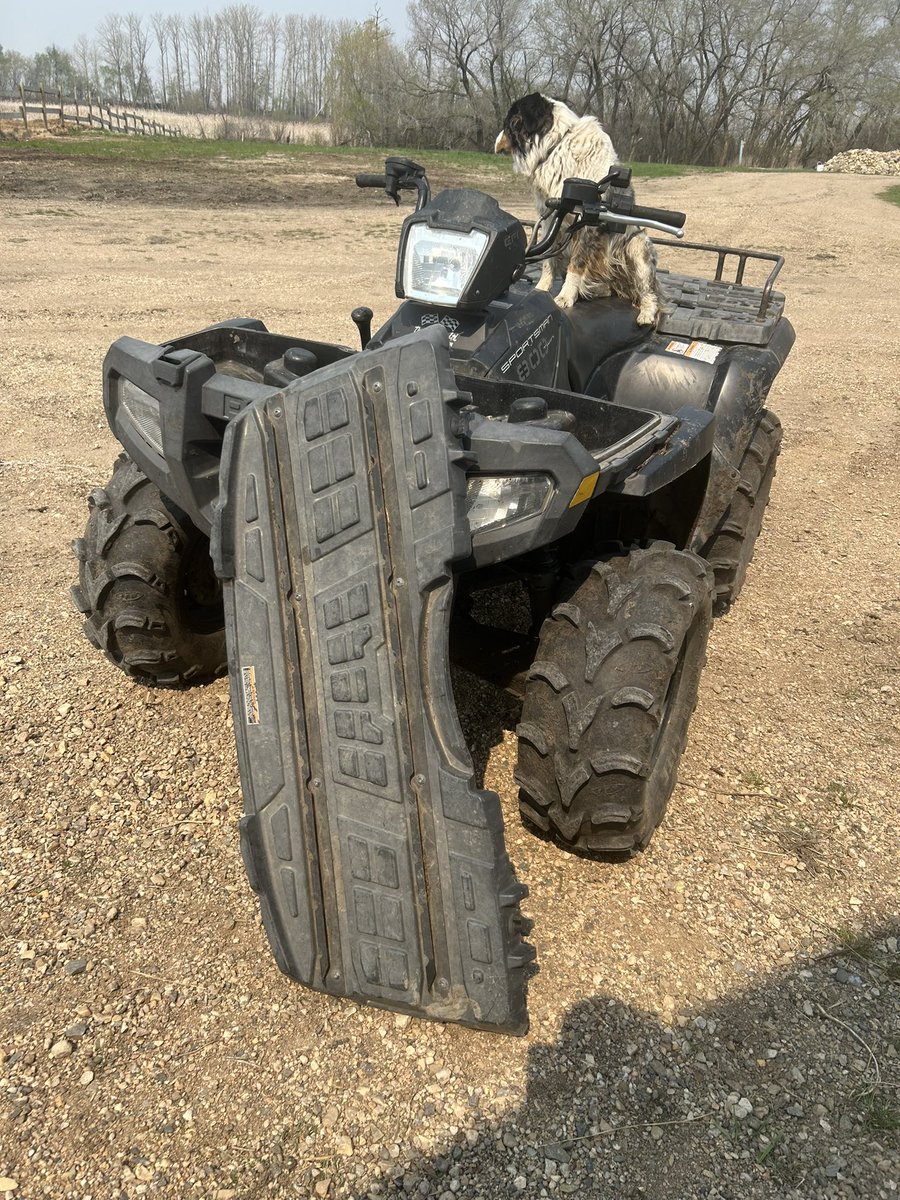 Brooke Moon tweet media