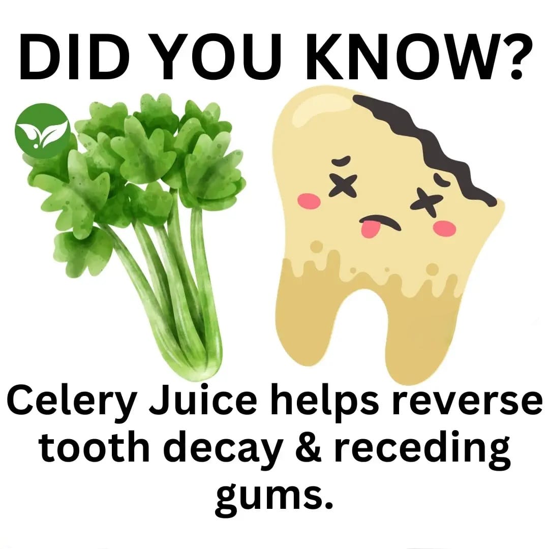 Helathy tips 01. Celery juice help reverse tooth decay and reduce gums