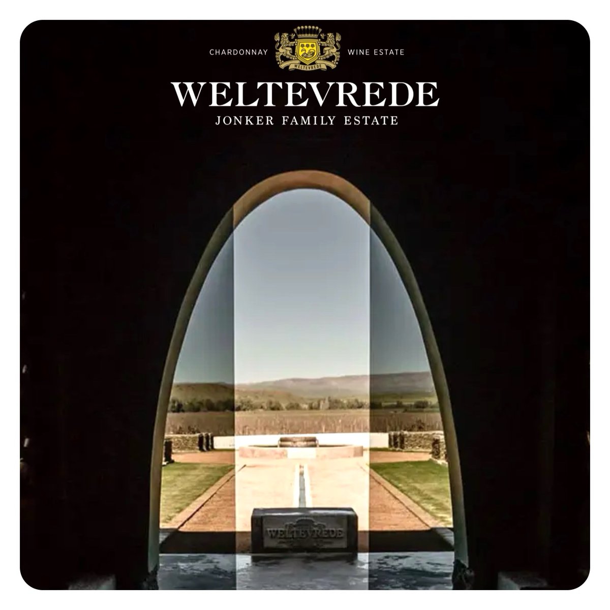 Weltevrede Estate Rocking Robertson with Some Classy Terroir-driven Chardonnays…: The Jonkers have lived on Weltevrede winefarm in the Robertson Valley since 1912 and were the first to plant vines in the area. Third… bit.ly/4dAi6CL by @gregsherwoodmw #vino #wine