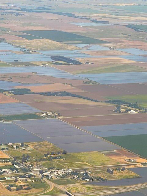 NCWATweets's tweet photo. An exciting time to fly into Sacramento, as the Sacramento Valley comes to life—water on the landscape for rice, trees blooming, and row crops emerging from the soil! https://t.co/vFy7aSOimx