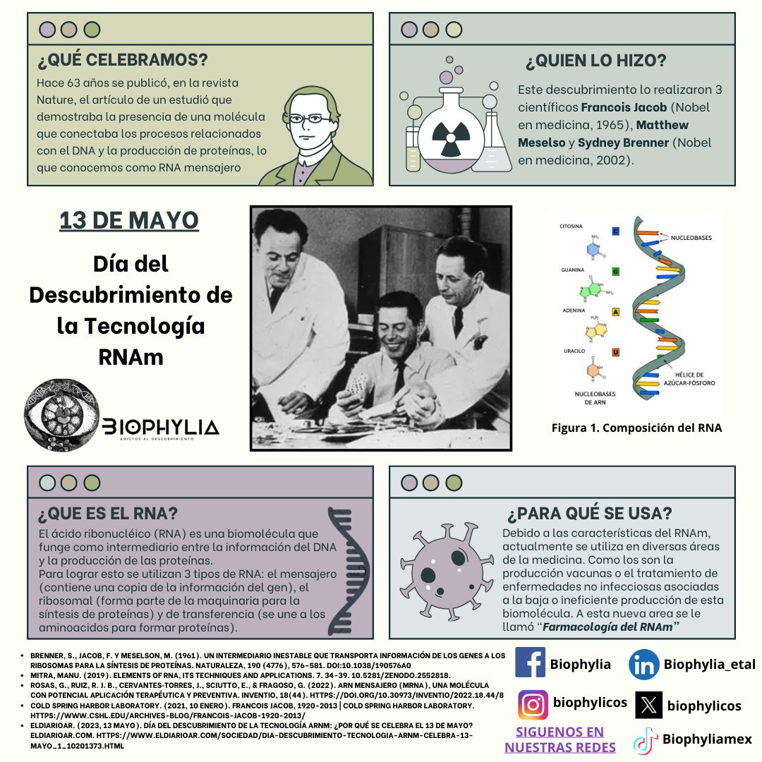 biophylicos's tweet photo. Hoy 13 de Mayo, pero de hace 63 años, se descubrió la presencia de una biomolécula que vinculó al DNA y la producción de proteínas.
Créditos a @Yehoshuah Raya por su trabajo.
https://t.co/bXTOco6r2G
#RNAm
#biophylia
#Adictosaldescubrimiento https://t.co/uZAQoU5pGm