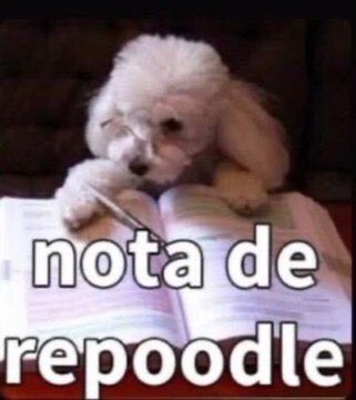 a galera surtando por faltar 6 meses para o enem… ano passado, menos de 4 meses para o enem, montei um cronograma de 3 meses e o resultado: 960 na redação, 39/44 em matemática, e só não passei em medicina por 11 pontos ESTÃO PAREM DE SE LASTIMAR NA INTERNET E VÃO ESTUDAR