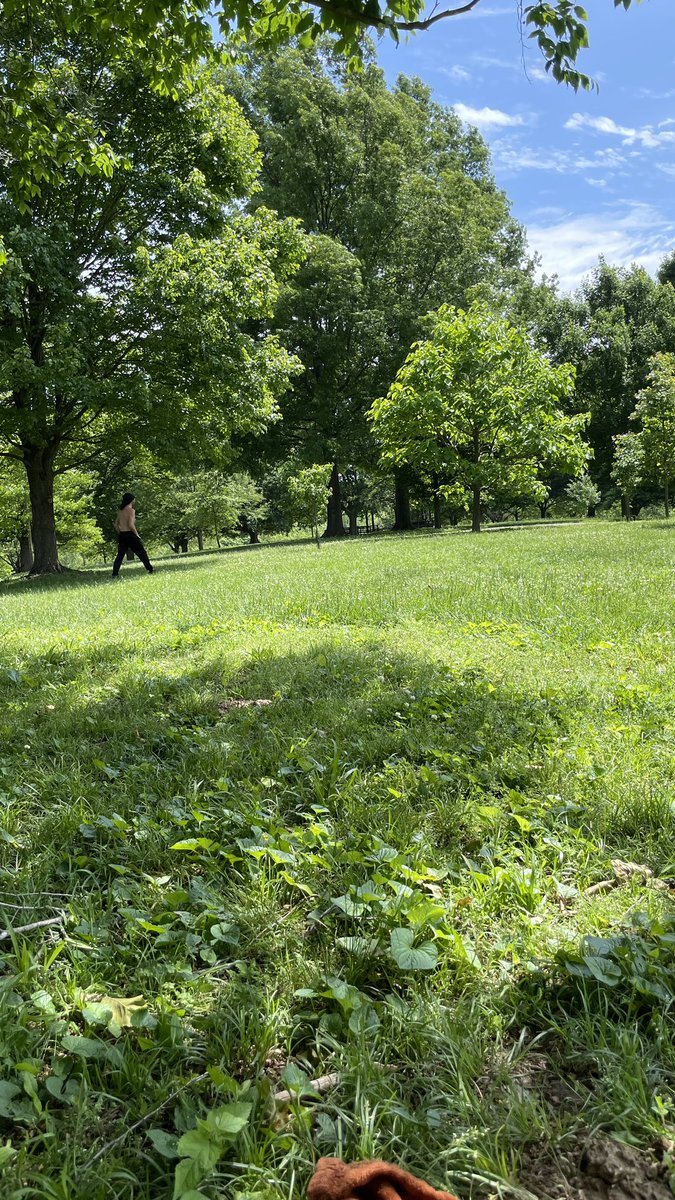 koriebrayngurz's tweet photo. attn louisvillians/cherokee park enjoyers (esp. women!): this man just walked toward me as i was drawing (by myself) under a tree and pulled his pants down and exposed himself to me from about 30 feet away. at 12:15 on a monday afternoon. right outside of the golf course. https://t.co/IUXP0sduQS