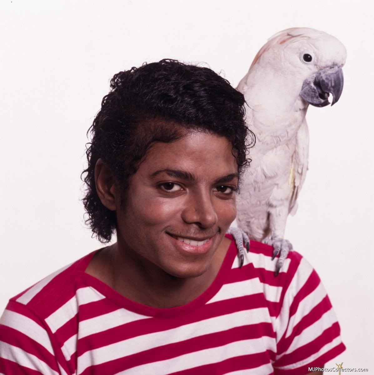 *⋆ ﾟMichael Jackson photographed for Rolling Stone (1983)
📸 - Bonnie Schiffman