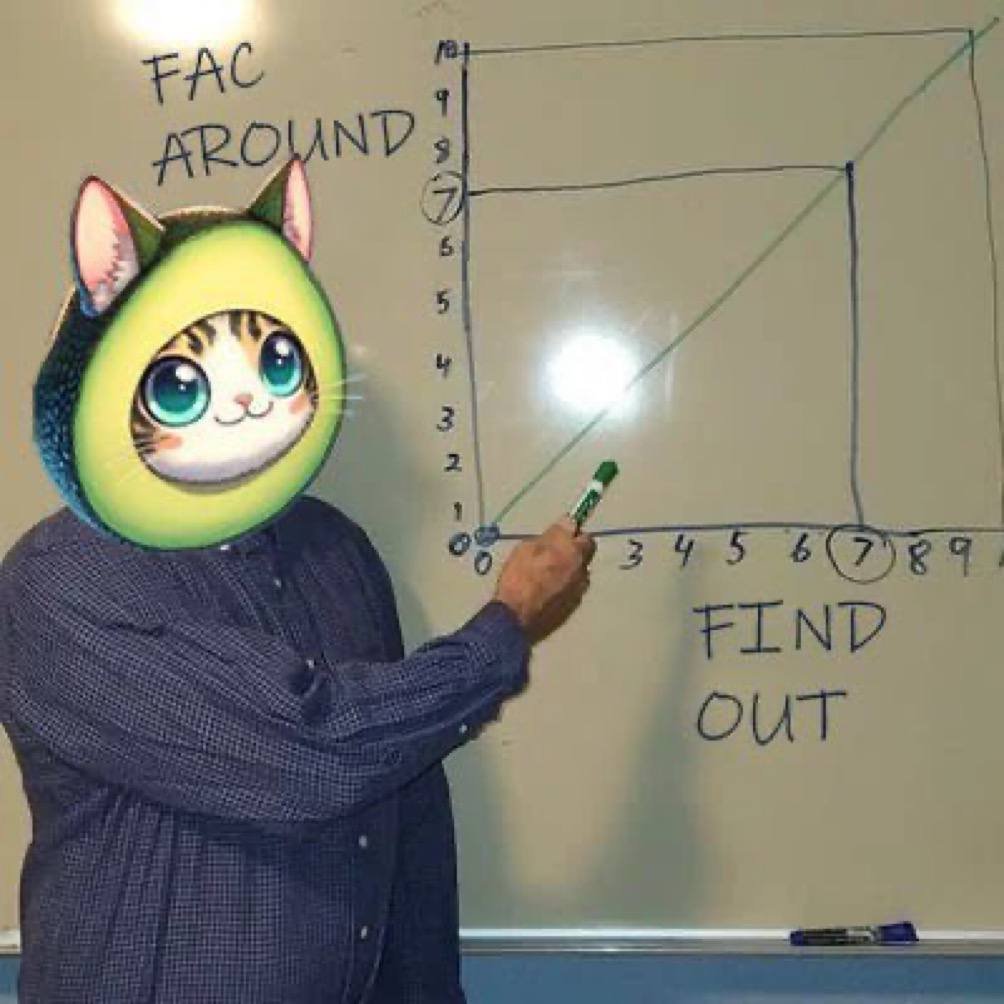 Good morning, FAC’ers! The markets are green, and the week is looking bullish! 👀

Did you know the #FlyingAvocadoCat has wings and is soaring to new heights? 🪽

$FAC around and add FAC to your portfolio for some deep, FAC-in value!