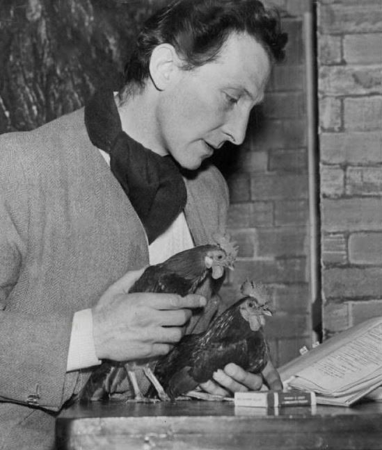 #TakingABreakFromFilming #PeterCushing reads his script with the cockerels who appear in the play with him. #FilmX 📽️ 🎬