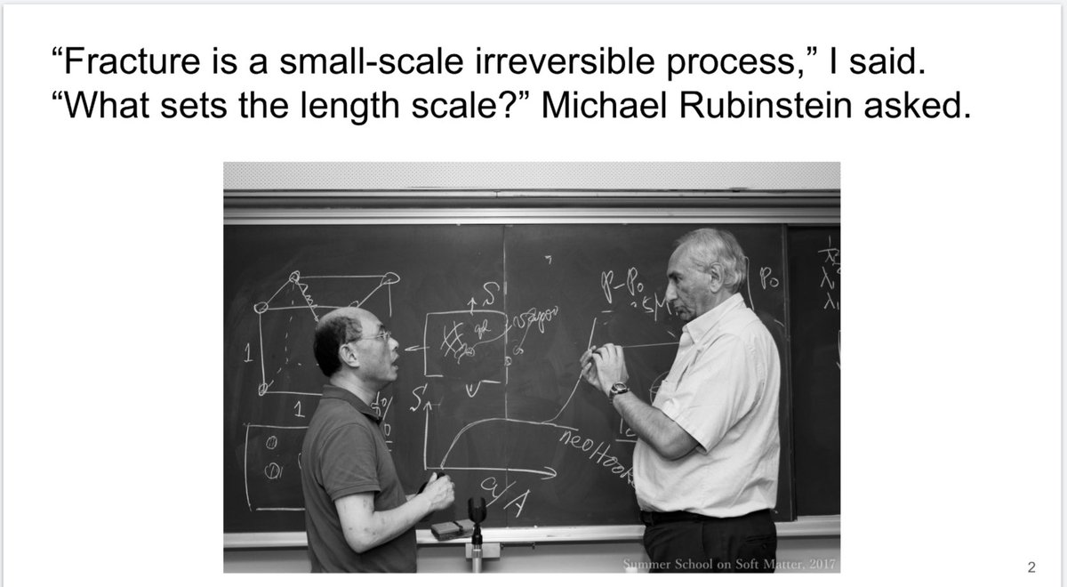 Zhigang Suo tweet media