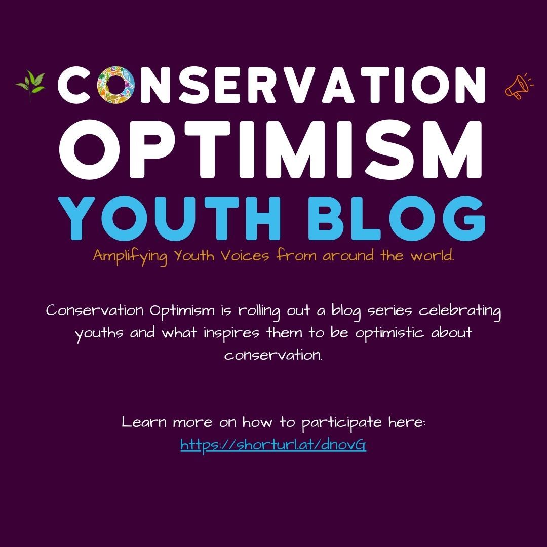 ConservOptimism's tweet photo. We is excited to announce the #ConservationOptimism Youth Blog series launching in July!

Want to be featured?

Simply fill out our questionnaire by May 31st &amp; share your insights on youth engagement and conservation efforts here: 

https://t.co/cbR6UVwtjP https://t.co/cEuvPiqTrJ