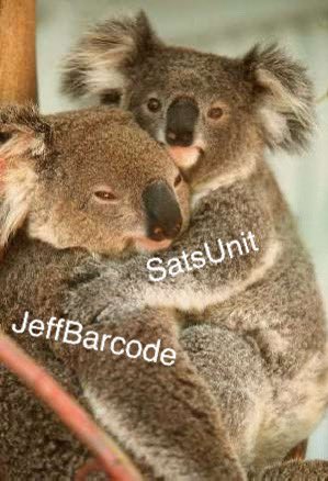 ManuSatsLykyou's tweet photo. This is the whole fandom right now🤣🤣🤣 #SatsUnit 

I’ll be like this for the rest of the month. Holding on them trying to survive semester finals🫠🦥

#JeffBarcode #JeffSatur #BarcodeTin https://t.co/nSt8F4wiO2