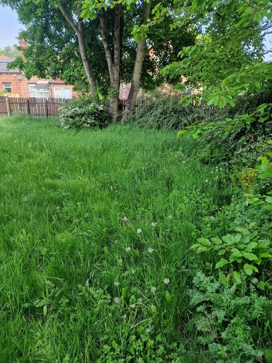 CL Kirklees tweet media