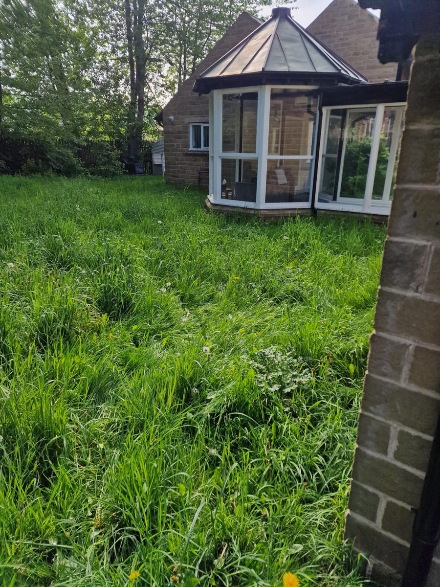 CL Kirklees (@clkirklees) on Twitter photo Team CLEAR #cleared the #garden @batleyreststop <a href="/commlinksnorth/">Community Links</a> for our #giveback day. #goodtimes What a #gardenmakeover ! Video to follow! 🙌🫶🪴🌾Thanks for keeping us fed! #beforeandafter #volunteeringday #socialaction #gardenlife #youvebeencleared <a href="/InspireNorthUK/">Inspire North</a> #volunteers Team CLEAR #cleared the #garden @batleyreststop <a href="/commlinksnorth/">Community Links</a> for our #giveback day. #goodtimes What a #gardenmakeover ! Video to follow! 🙌🫶🪴🌾Thanks for keeping us fed! #beforeandafter #volunteeringday #socialaction #gardenlife #youvebeencleared <a href="/InspireNorthUK/">Inspire North</a> #volunteers