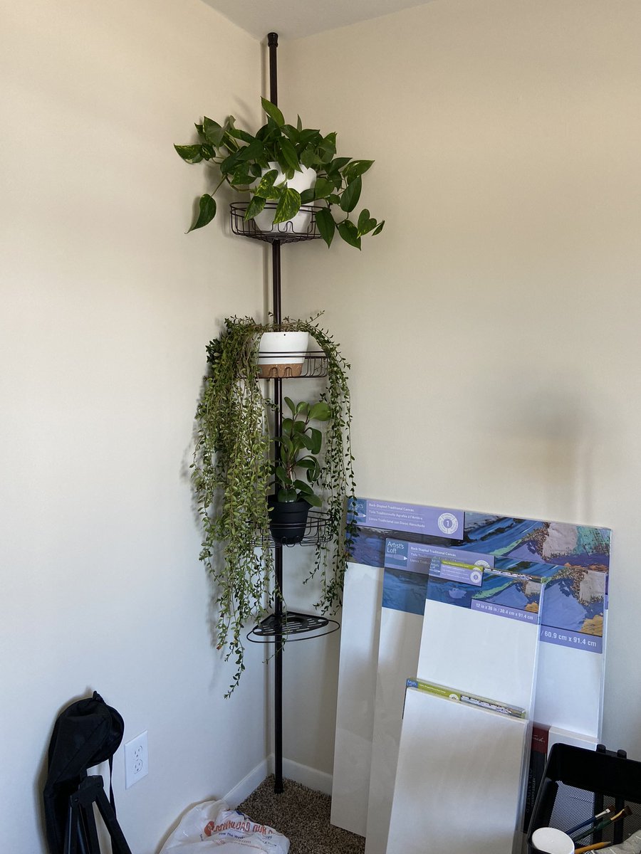 Wanted to get my plants out of direct view from my window but needed to keep the toxic one away from the cat and can't hang shelves, so this was my solution and I think it was pretty damn clever