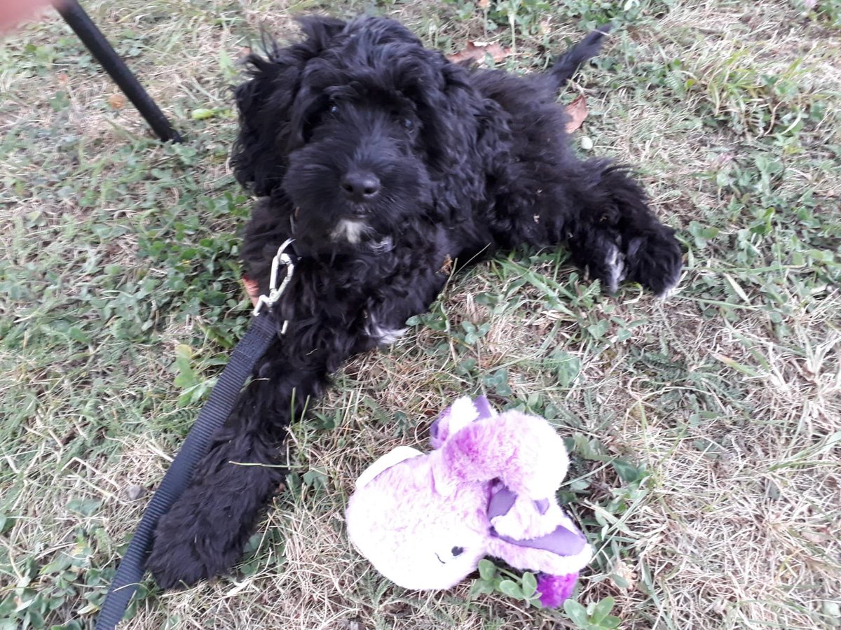 As it's Mental Health Awareness Week, we would like to highlight the work of The Octopus Foundation in improving mental health and wellbeing for our beneficiaries from across Medway and beyond 🐙

#mentalhealthawarenessweek #MomentsForMovement