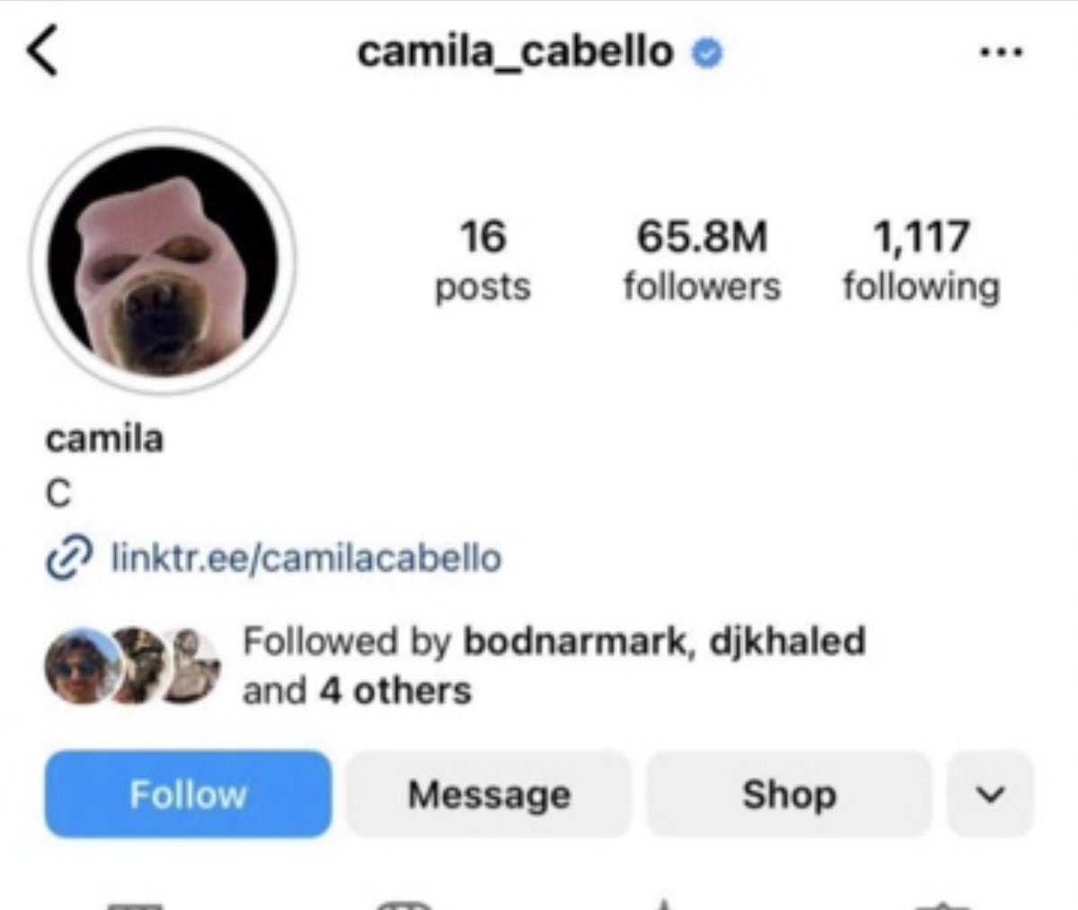 Abu_Laith20's tweet photo. $SKI has bottomed..better token distribution..quick rebound ..first IRL dog on BASE..BASE smart wallet coming..Camilla Summer album coming..Study Dogs,study BASE,study Camilla.. #MASK_ON https://t.co/PbsXcB9NfM