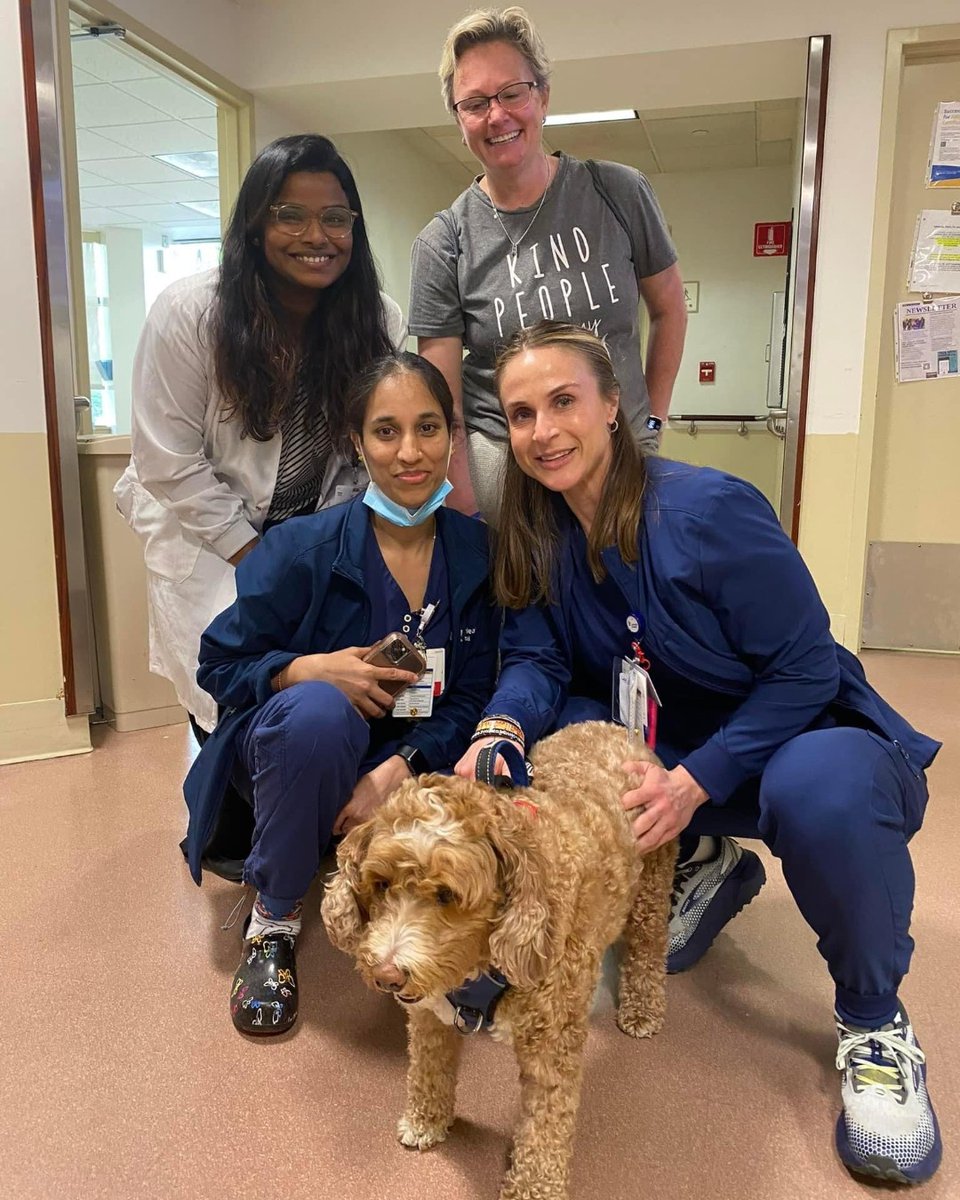 The Mercy Hospital family has grown by four paws! 🐾 Meet Theo, Mercy’s new therapy dog. His job is to provide affection, comfort and support to patients, visitors and staff. Word on the street is that Theo agreed to work for treats!🐶