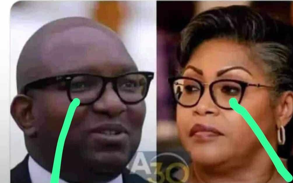 DRC: It's been almost a month to the day that the Democratic Republic of #Congo has been managed by: - two prime ministers in office. - Two processions - Two salaries - Two different programs. The only thing they have in common is medical glasses.