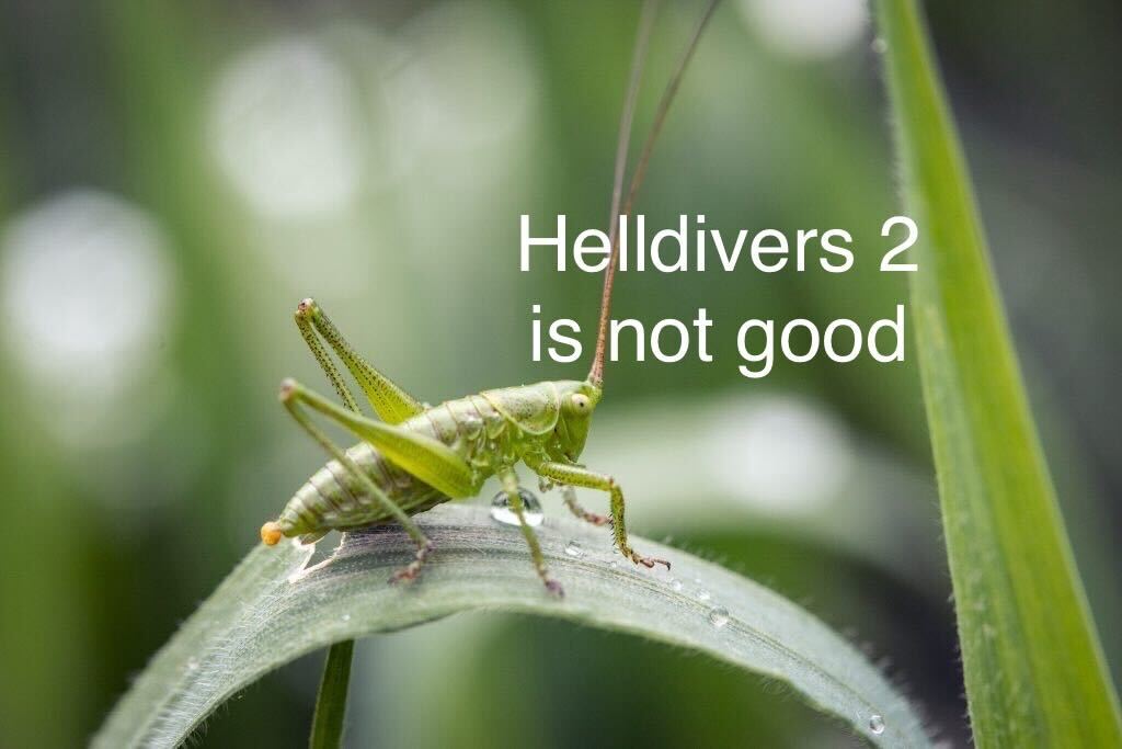 MetaCricket tweet media