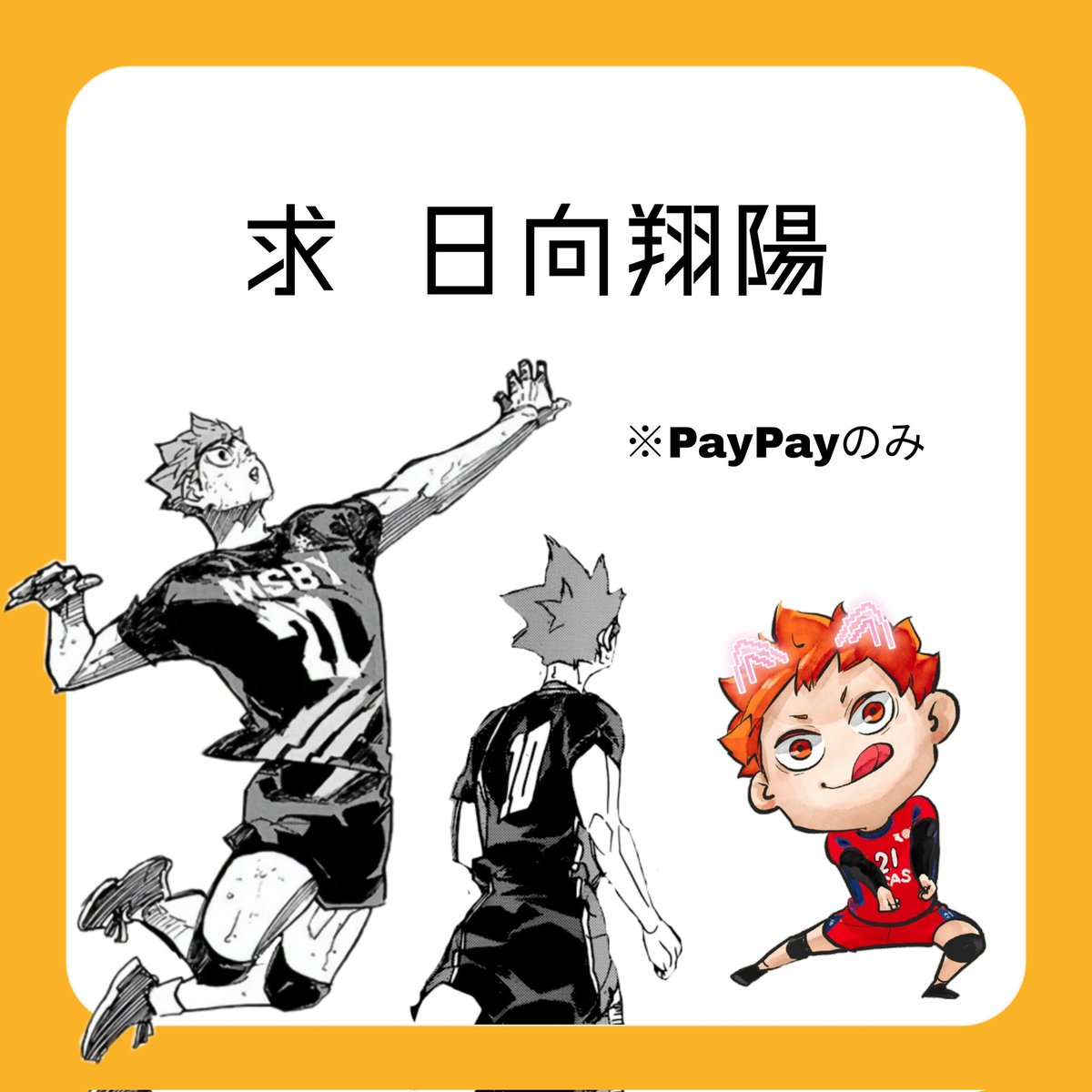 __hinata0819's tweet photo. 【ハイキュー 回収  買取】

求▶日向翔陽
譲▶定価+送料

基本なんでもご検討します！🙇🏻‍♀️
譲っていただく側で申し訳ないのですが安価の方優先させて頂きます。
家に日向くんの迷子いる方待ってます🙌🏻 https://t.co/PKv7byv4pT