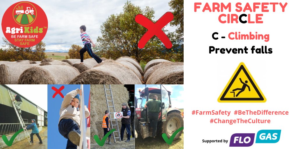 AgriKids' FARM SAFETY CIRCLE
Promoting a #farmsafe #Summer2024 #FarmSafety
Supported by: <a href="/FlogasIreland/">Flogas</a>.

<a href="/IFAmedia/">Irish Farmers' Association</a> <a href="/teagasc/">Teagasc</a> <a href="/EmbraceFARM/">Embrace FARM</a> <a href="/TheHSA/">Health and Safety Authority</a> <a href="/irishrurallink/">Irish Rural Link</a> <a href="/yellowwelliesuk/">Farm Safety Foundation</a> <a href="/Hsenigov/">HSENI</a>