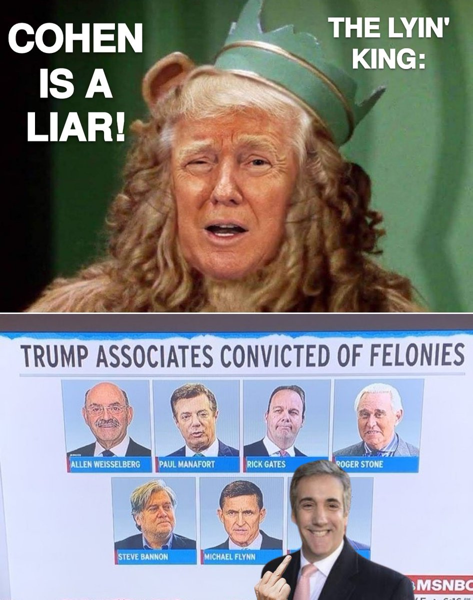 The lying fuckbag who's friends are convicted felons, who's business, Trump Org., was found guilty of 17 counts of criminal tax fraud, found liable for $454 million in NY fraud case, who's Trump Foundation & Trump University were found liable for fraud, says Cohen is not credible