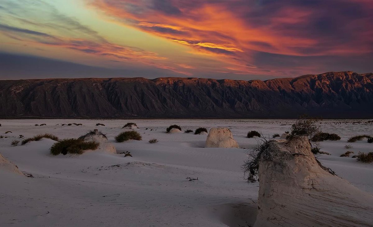 Si visitas #Coahuila, no dudes en hacer una parada en las 'Dunas de Yeso' en el #PuebloMágico Cuatro Ciénegas. 🤩

 ¡Te enamorarás de sus paisajes! 💯👌🛣️

¡Excelente inicio de semana! 🌾💞