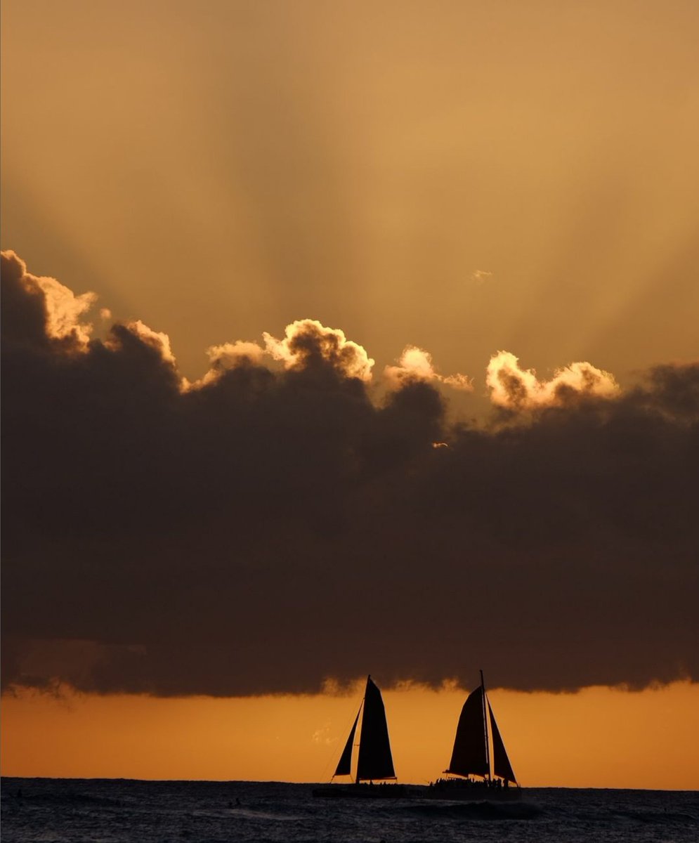 I Love Hawaii tweet media