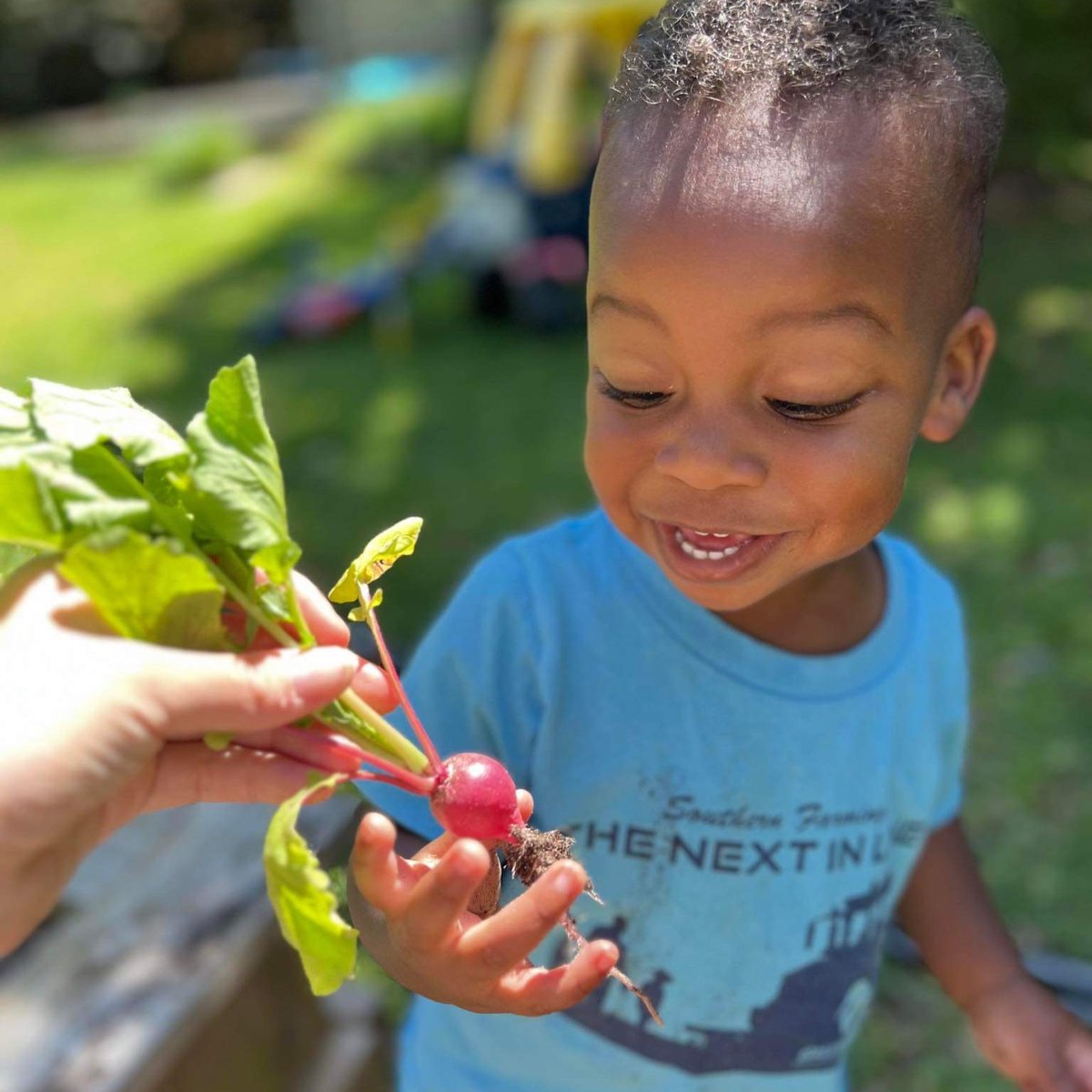 This happy grower is excited about pulling up his first radish from the family garden! Issac is the grandson of Don lee. The manager at our Fort Louden Terminal Facility in LeNoir City, TN.
#southernfarming #farmlife #nextinline #greenpointag #farming #garden