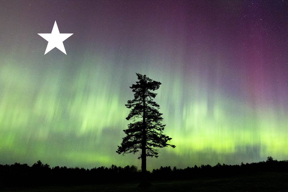 jwalter1337's tweet image. The Original Maine State Flag, but make it in real life (aurora edition).

Photo by yours truly last Friday here in @visitmaine 💚 #AuroraBorealis #NorthernLights #MaineThing @SenAngusKing @JanetMillsforME @chelliepingree @PressHerald @KeithCarson @CharlieWGME