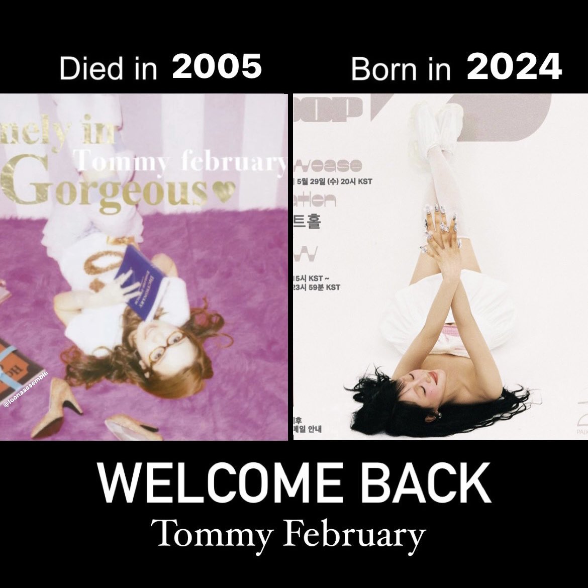 welcome back TOMMY FEBRUARY
