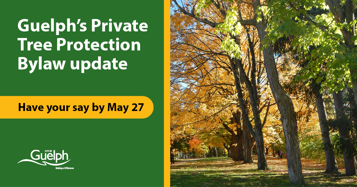 Our final information session about updating Guelph's Private Tree Protection Bylaw is happening on May 14 from 6:30-8p.m. at City Hall (meeting room C). If you can't join us in-person, be sure to take our online survey and have your say: ow.ly/XWkC50RvbKH