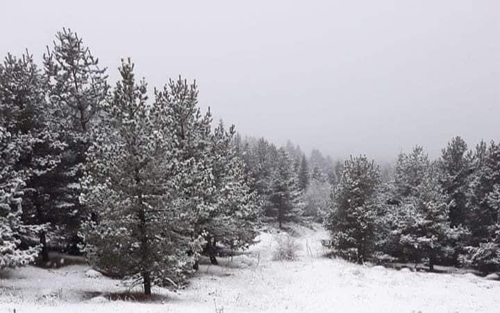 Ankara Kızılcahamam'da kar yağışı başladı ❄️