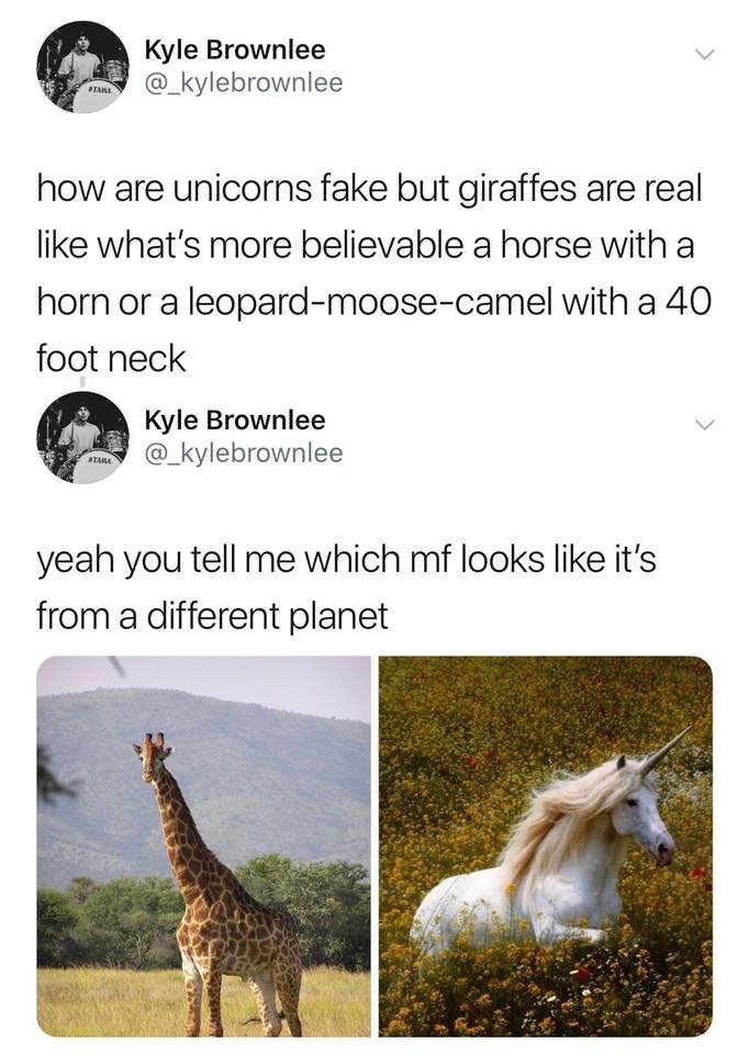 Saw some giraffes at the Cincinnati zoo and couldn't stop thinking about this post.