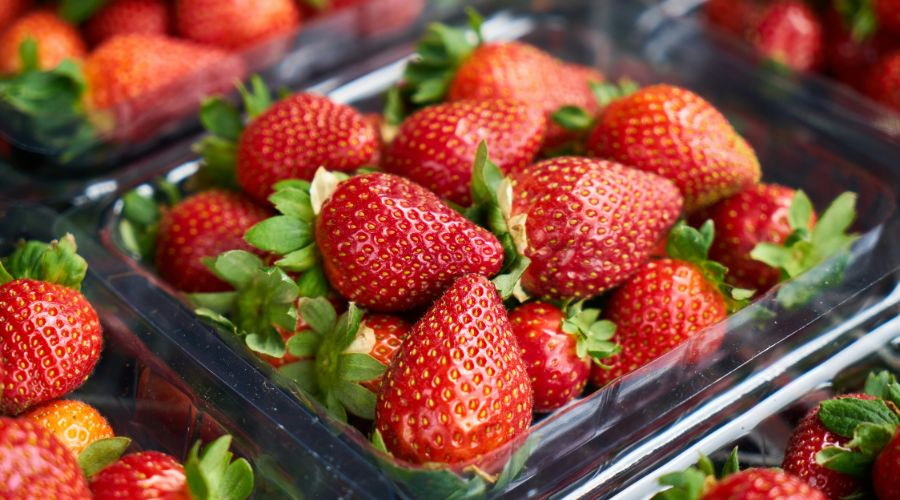 Strawberry producers say despite the delays, the fruit will be bigger and juicer this year. 😍 🍓

fruitandvine.co.uk/british-strawb…

#strawberry #strawberries #UKgrowers