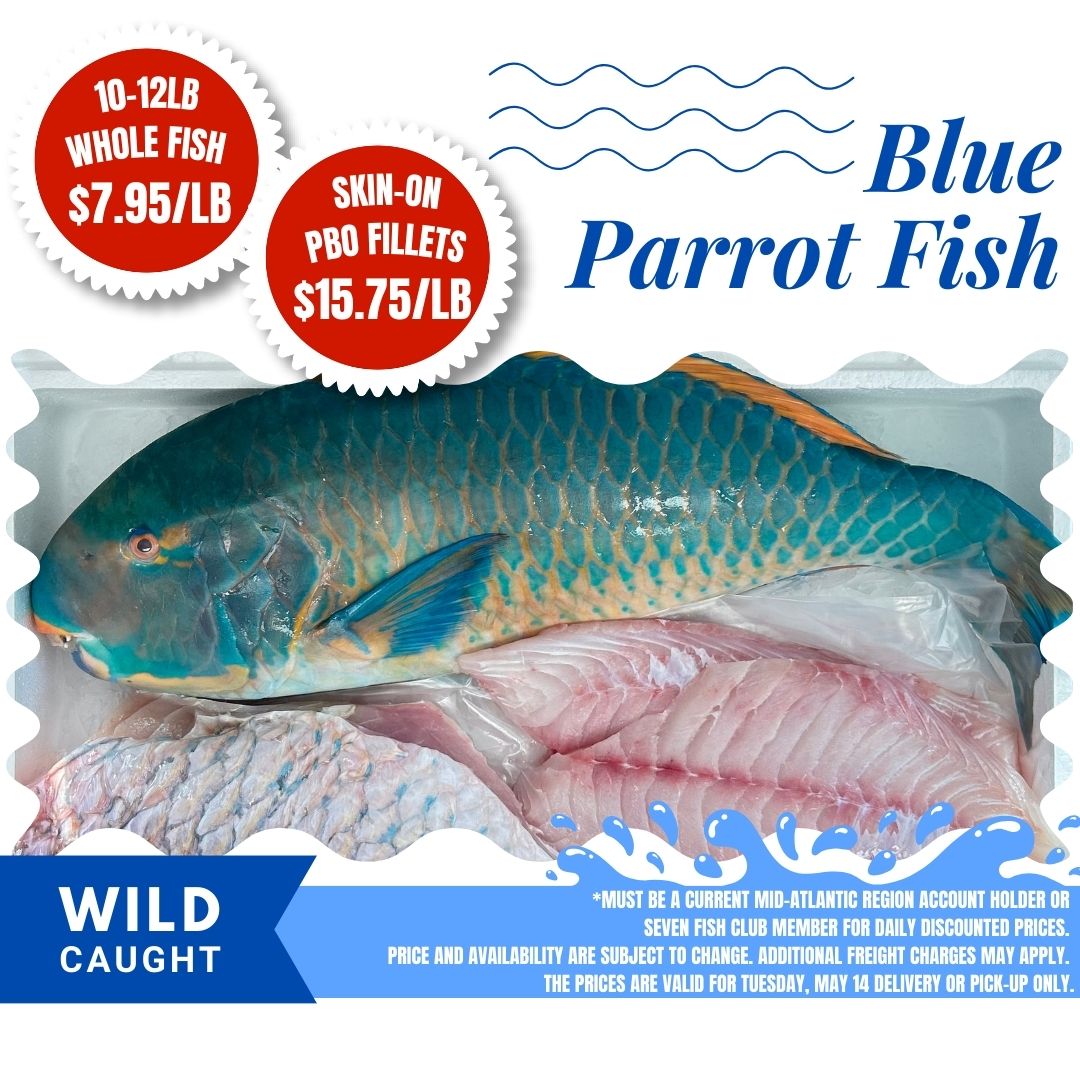 These specials are valid till 5/14/24 😉 Contact your Sales Agent to add either/both for Tuesday pickup or delivery. *Must be a current Mid-Atlantic region account holder or 7 Fish Club Member for discounted prices. Additional freight charges may apply.