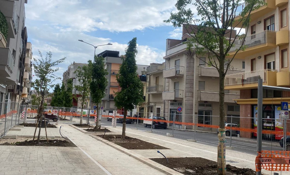 Altamura, piantumati nuovi alberi per la riqualificazione di via Manzoni altamuralive.it/2024/05/13/alt… #altamura
