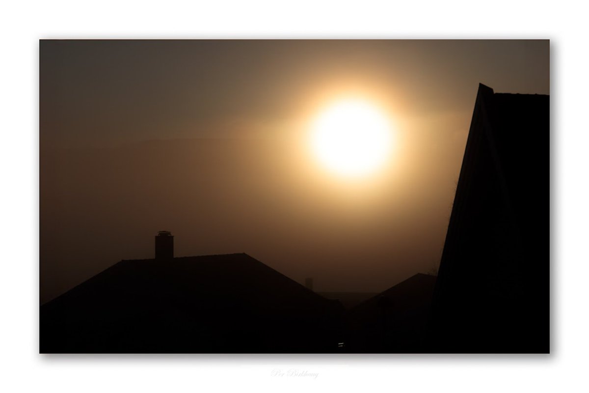 #Silhouette #Sun #Outdoors #Sunlight #sunrise #thephotowalkpodcast #shapingthelightwithgreg #diginordic #photopluscanonmagazine #canon_photographer #picoftheday