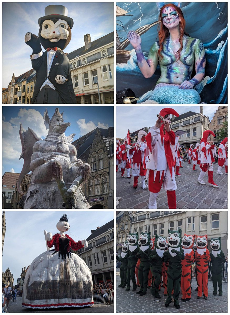 Just a few highlights from the rather bonkers but lovely carnival that is the triennial #Kattenstoet #CatFest in #Ypres #Ieper @ToerismeIeper @FlandersWW1