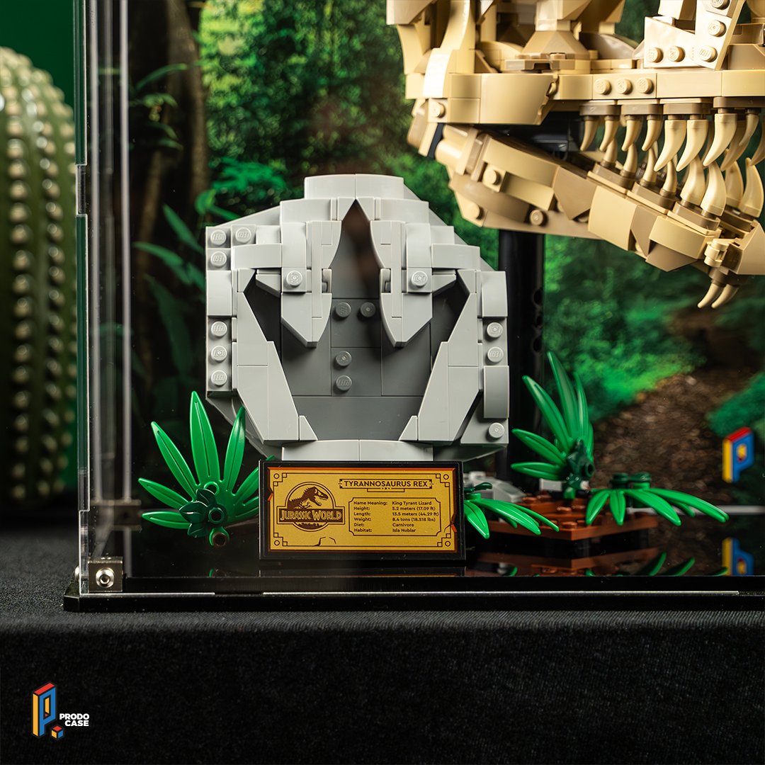 prodocase's tweet photo. 🦖 Jurassic Park'ın hayranlarına müjde! 🦖

LEGO® Jurassic World™ Dinosaur Fossils: T. rex Skull (76964) için özel pleksiglas sergileme vitrinimiz artık sitemizde!

🛒👉 Hemen sipariş vermek için: https://t.co/qWoXPNZjzJ

#lego #legonews #legotürkiye https://t.co/R2oMeIlCnC