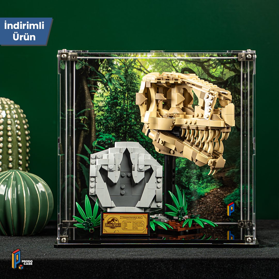 prodocase's tweet photo. 🦖 Jurassic Park'ın hayranlarına müjde! 🦖

LEGO® Jurassic World™ Dinosaur Fossils: T. rex Skull (76964) için özel pleksiglas sergileme vitrinimiz artık sitemizde!

🛒👉 Hemen sipariş vermek için: https://t.co/qWoXPNZjzJ

#lego #legonews #legotürkiye https://t.co/R2oMeIlCnC