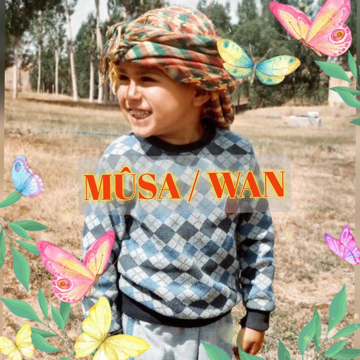 MÛSA / WAN