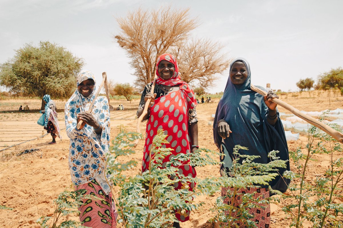 🎉Fêtons la Journée des Femmes Nigérienne !

Aujourd'hui, rendons hommage à la remarquable hospitalité des femmes du Niger envers les réfugiés et les déplacés internes.

Leur accueil chaleureux et leur soutien sans faille sont une véritable source d'inspiration !