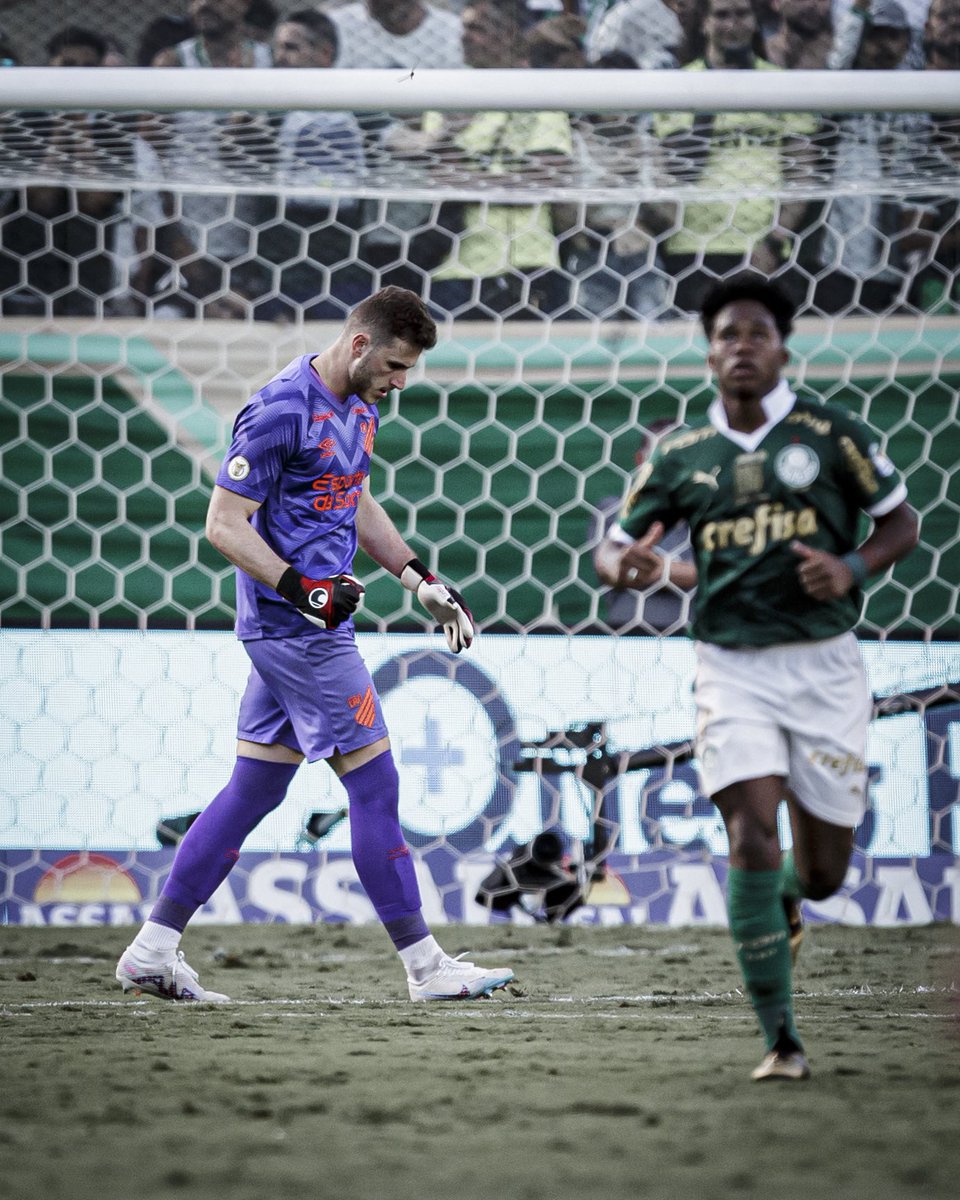 menesesfoto's tweet photo. Boa tarde, líderes 

#cap #athletico #brasileirao https://t.co/aoGmkpLb7c