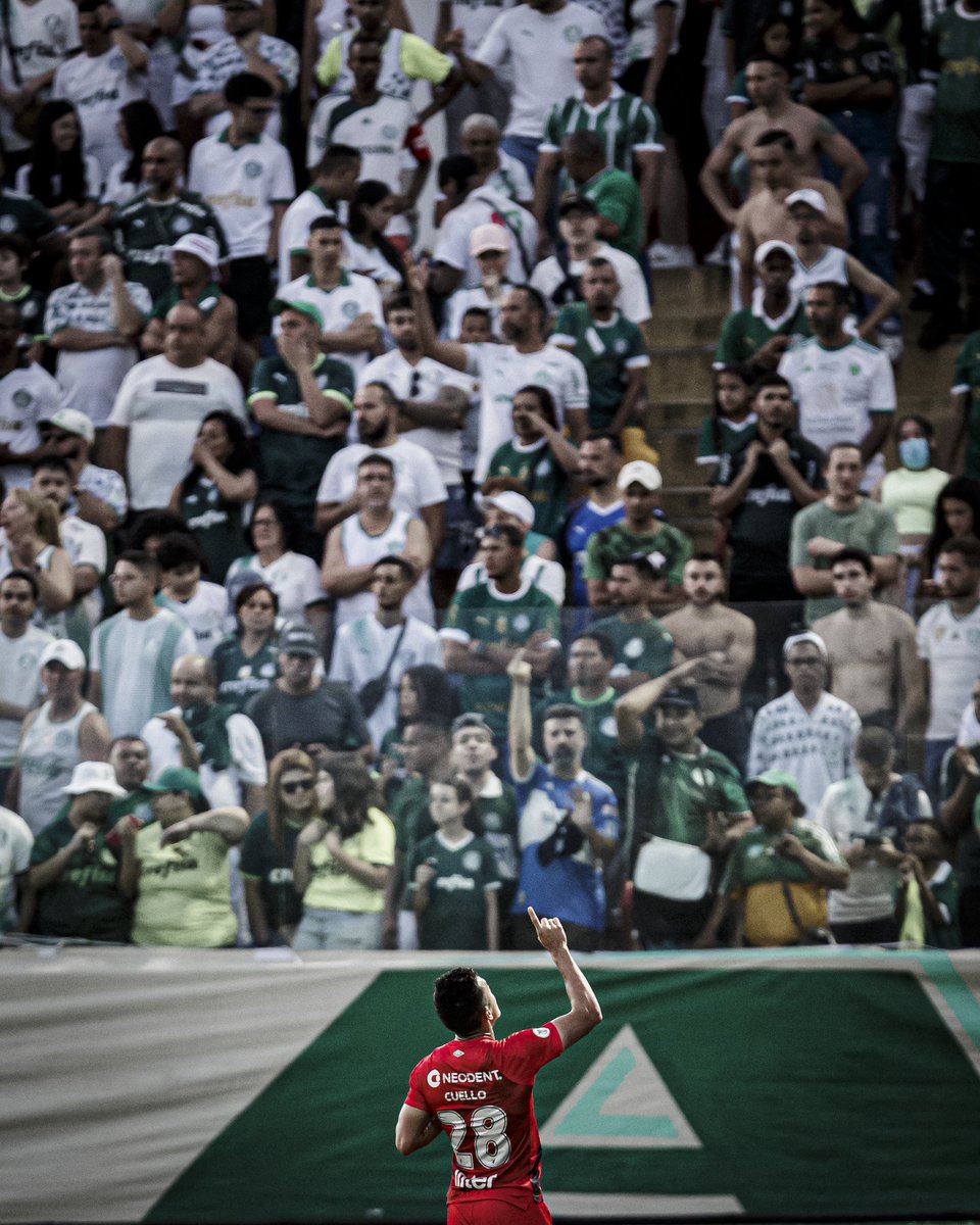 menesesfoto's tweet photo. Boa tarde, líderes 

#cap #athletico #brasileirao https://t.co/aoGmkpLb7c