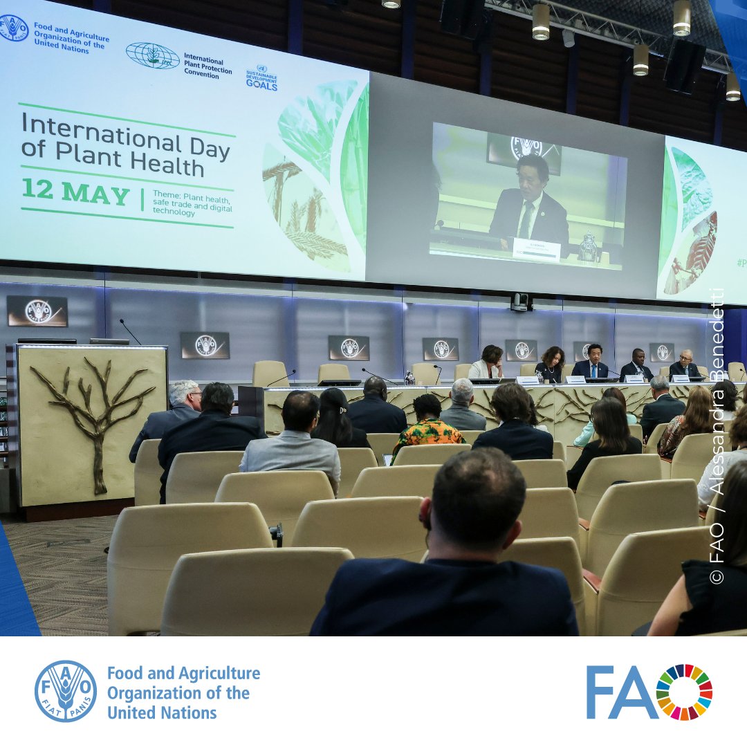 @FAO celebrated #PlantHealthDay emphasizing coordination & technology as key to protect #PlantHealth & facilitate trade. During the high-level session, @FAODG was joined by @CanadainItaly Ambassador @Elissa_Golberg & @USDA's Under-Sec. @JennyLMoffitt. 👉 bit.ly/4adUqRT