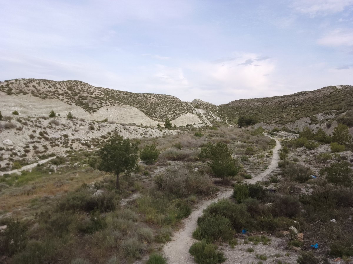 La estepa. Ese lugar al que muchos denostan llamándola: 'secarral', 'matojos', 'no hay nada'. ¡Pues la de vida y olores que hay en ella!, da gusto caminar entre este tipo de paisaje que tanto debemos de cuidar.